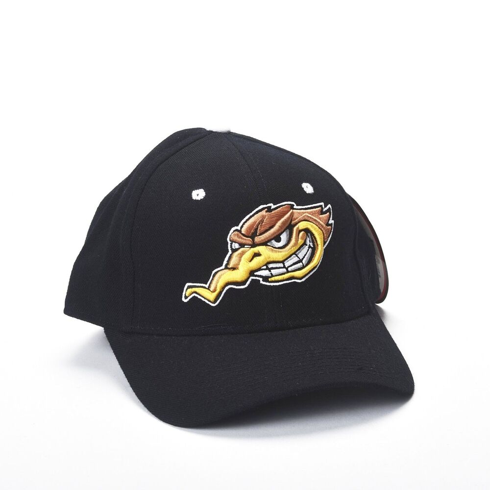 NCAA College Woodbridge Wood Peckers Embroidered Black Zephyr The Z Hat Size 7